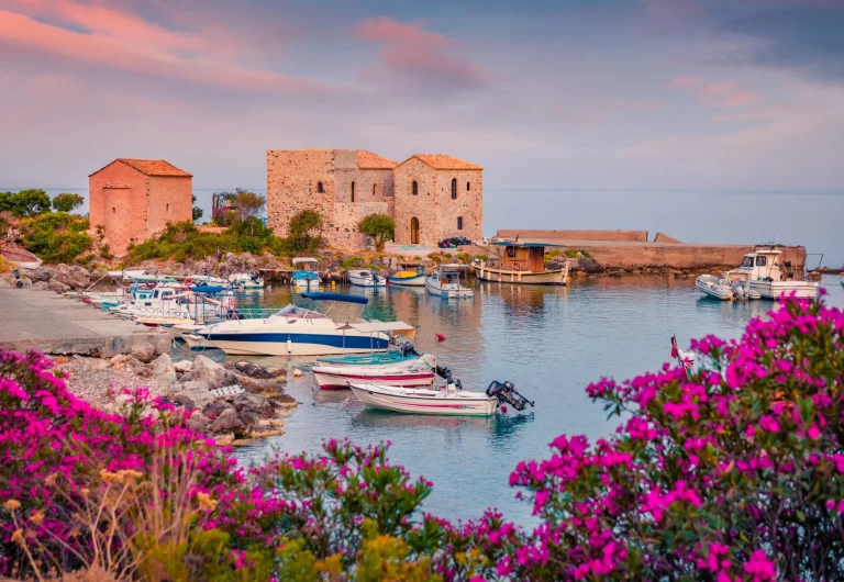 Blühende rosa Blume am Ufer des Hafens von Kardamyli mit St. John Kirche und Old Customs of Kardamili auf bacgroynd. Schöne Morgen Szene der Halbinsel Peloponnes, Griechenland, Europa.